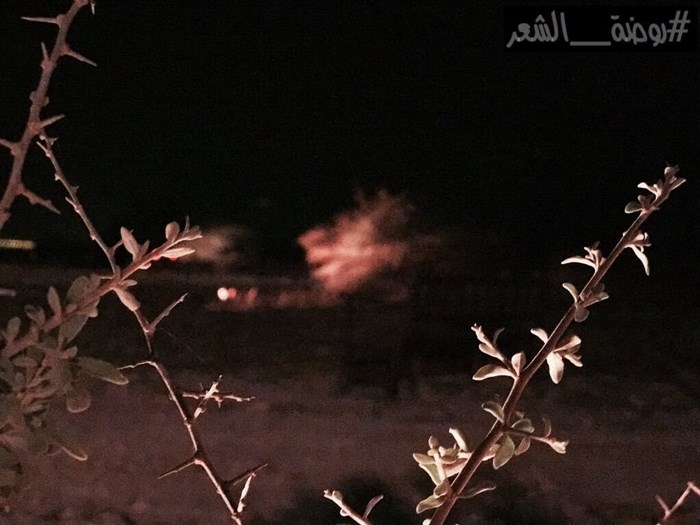 روضة الشعر